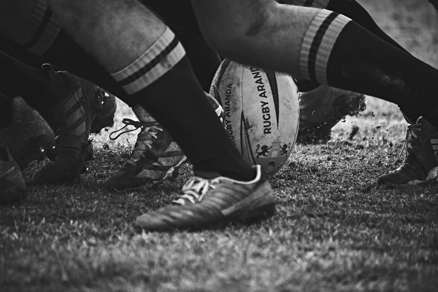 Community und Rugby: Wie der Club verbindet